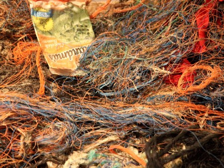 Müll bedroht die Meeressäuger. (Foto: Rüdiger Hengl)