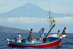 Sanftes Whale-Watching mit Oceano
(Foto: Oceano)