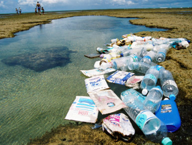 Plastikvermüllung am Strand (Foto: OceanCare)