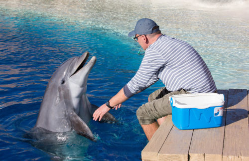 Noah in seinem neuen Domizil (Foto: Rancho Texas Park)