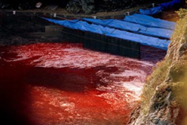 Blutrot gefärbte Bucht (Foto: Save Japan Dolphins)