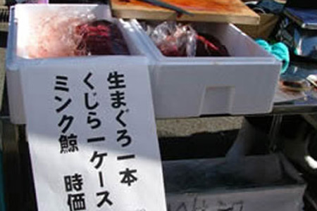 Walfleisch wird auf den Märkten angeboten (Foto: Save Japan Dolphins)