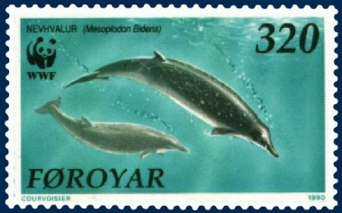 Sowerby-Zweizahnwal auf Briefmarke der Färöer Inseln (Quelle: Wikipedia)