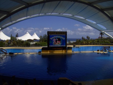 Orcanarium auf Teneriffa (Foto: Susanne Gugeler)