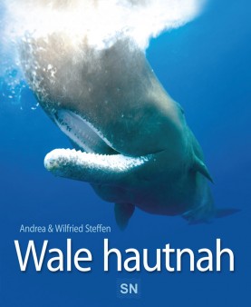 Wale - hautnah (Foto: Andrea und Wilfried Steffen)