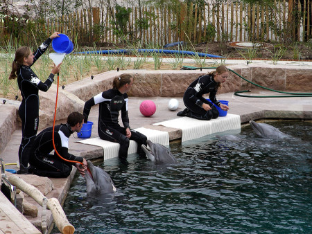 Moby bekommt Süßwasser. (Foto: Rüdiger Hengl)