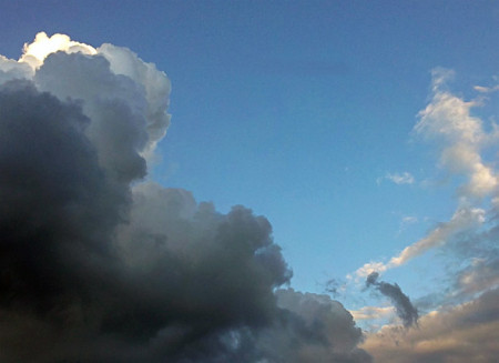 Delfin in den Wolken (Foto: Daniel Bockshecker)