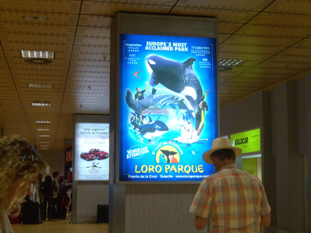 Werbung am Flughafen  (Foto: Susanne Gugeler)