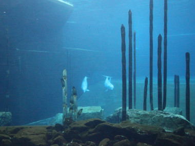 Panoramascheibe  (Foto: Rüdiger Hengl)