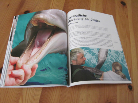 Tierärztliche Betreuung im Delfinarium Duisburg (Foto: Susanne Gugeler)