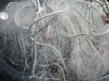 Netz aus Plastik (Foto: Susanne Gugeler)