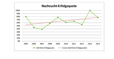 Grafik von Daniela Breuer