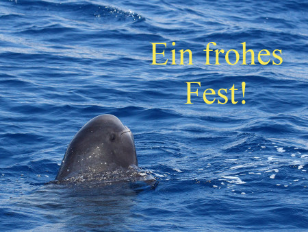 einfrohesfest