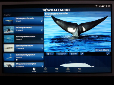 FLUKE auf der Whaleguide-App (Foto: Frank Blache)
