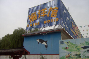 Aquarium in China (Foto: Frank Blache)