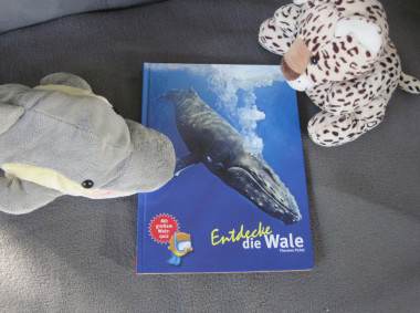 FINN und LEO entdecken die Wale. (Foto: Susanne Gugeler)