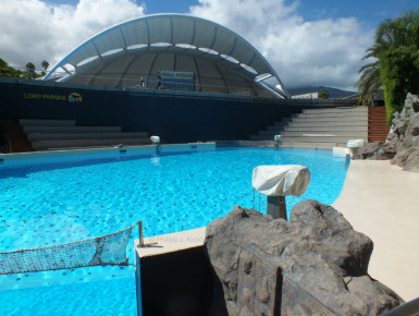 Delfinarium im Loro Parque (Foto: Philipp Kroiß)