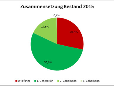 Zusammensetzung Bestand 2015 (Copyright: Daniela Breuer)