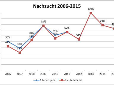 Nachzucht 2006-2015 (Copyright Daniela Breuer)