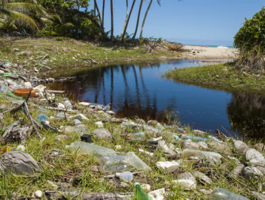 Plastikvermüllung in Flussmündung (Foto: OceanCare)