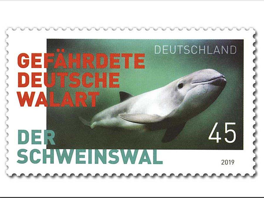 Schweinswal-Briefmarke (Foto: Solvin Zankl, Gestaltung: Irmgard Hesse) Aus urheberrechtlichen Gründen ist bei einer Nutzung der Abbildung zwingend eine Abbildungsgenehmigung einzuholen. Bitte richtet alle Fragen zur Nutzung des Bildes an: LC5@bmf.bund.de. 